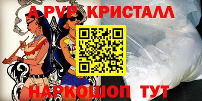 дживик Шелехов