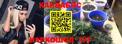 прущие грибы Шахты