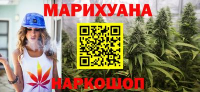 дживик Шелехов