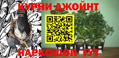 дживик Шелехов