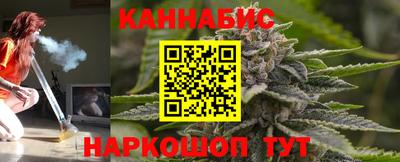 дживик Шелехов