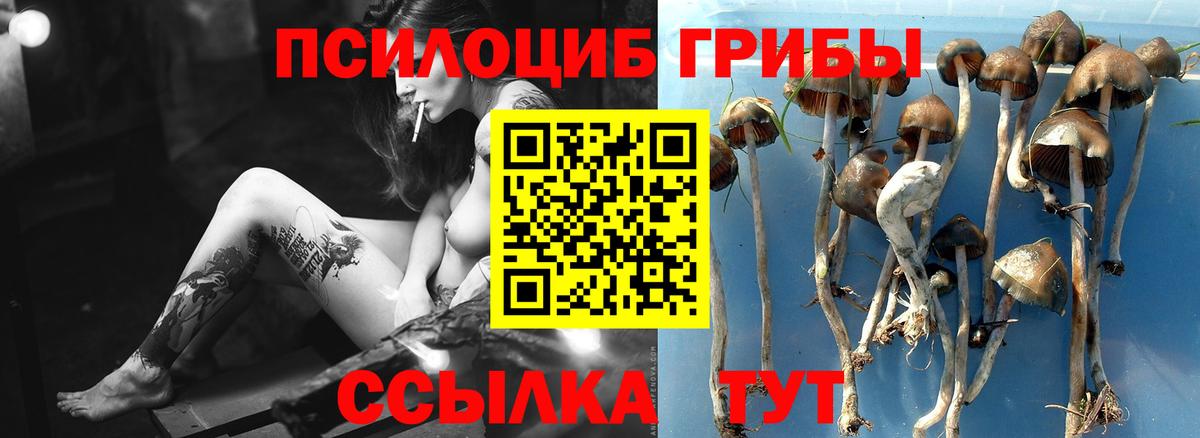 Псилоцибиновые грибы прущие грибы  Вход с VPN  где продают   Артём 