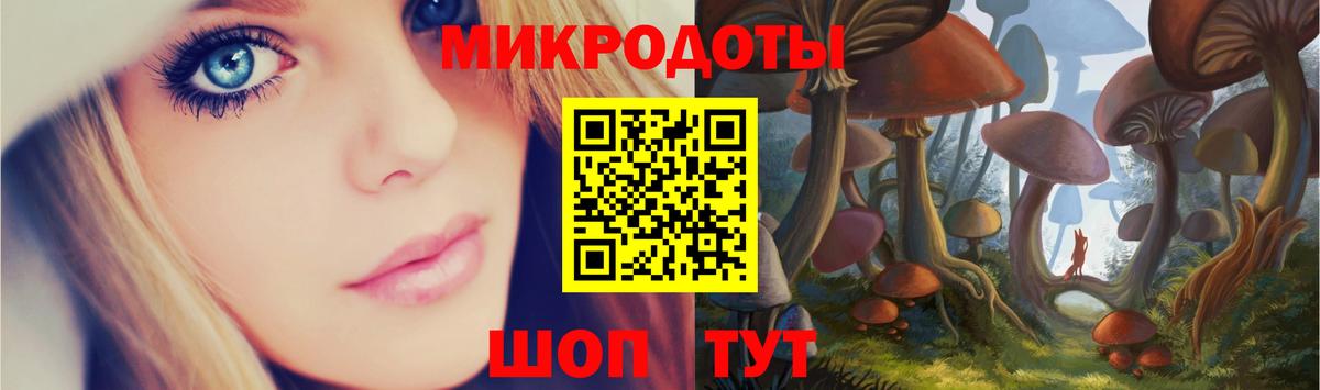 Псилоцибиновые грибы Psilocybine cubensis Артём